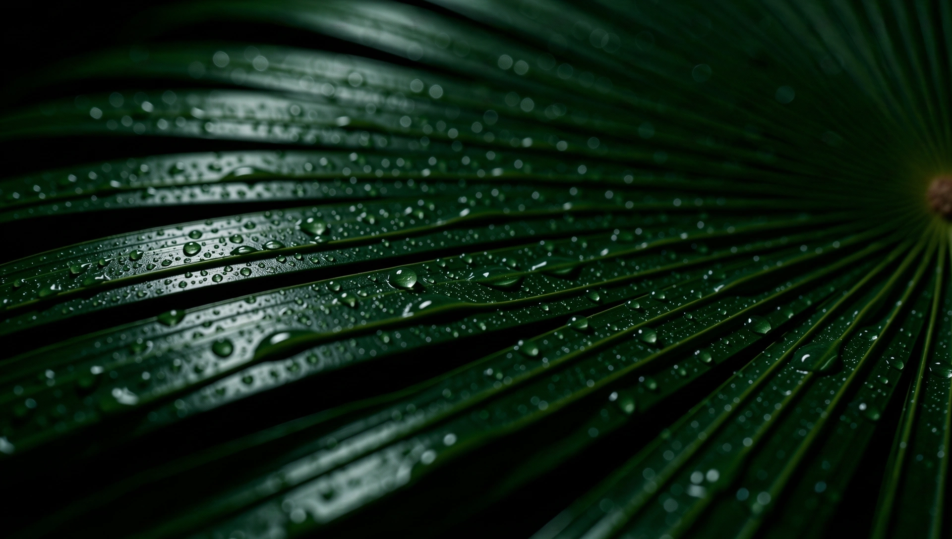 Detailed botanical texture representing natural vitality